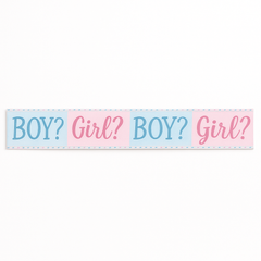Pink or Blue? Gender Reveal Banner