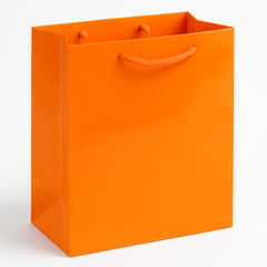 Glossy Bright Pink Gift Bag - Medium Size