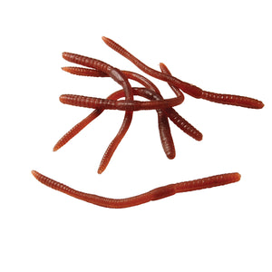 Worms - 12 Count