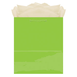 PMA - Paper Gift Bag, Assorted Colours, 9.5-in, for Birthday/Valentine's Day/Easter/Baby Shower