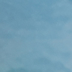 Peacock/Gold Petal Plates | Combo Pack 20/20