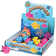 Chomping Shark Babies/12 Per Disp - 12 Count
