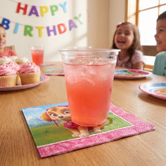 PAW Patrol Skye Beverage Napkins - 5 In. X 5 In.