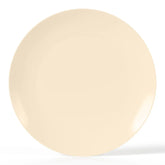 10 In. Trend Macchiato Plastic Plates | 10 Count