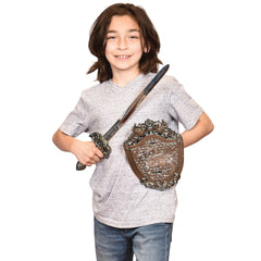 Dragon Sword & Shield Set/1 Set - 1 Count