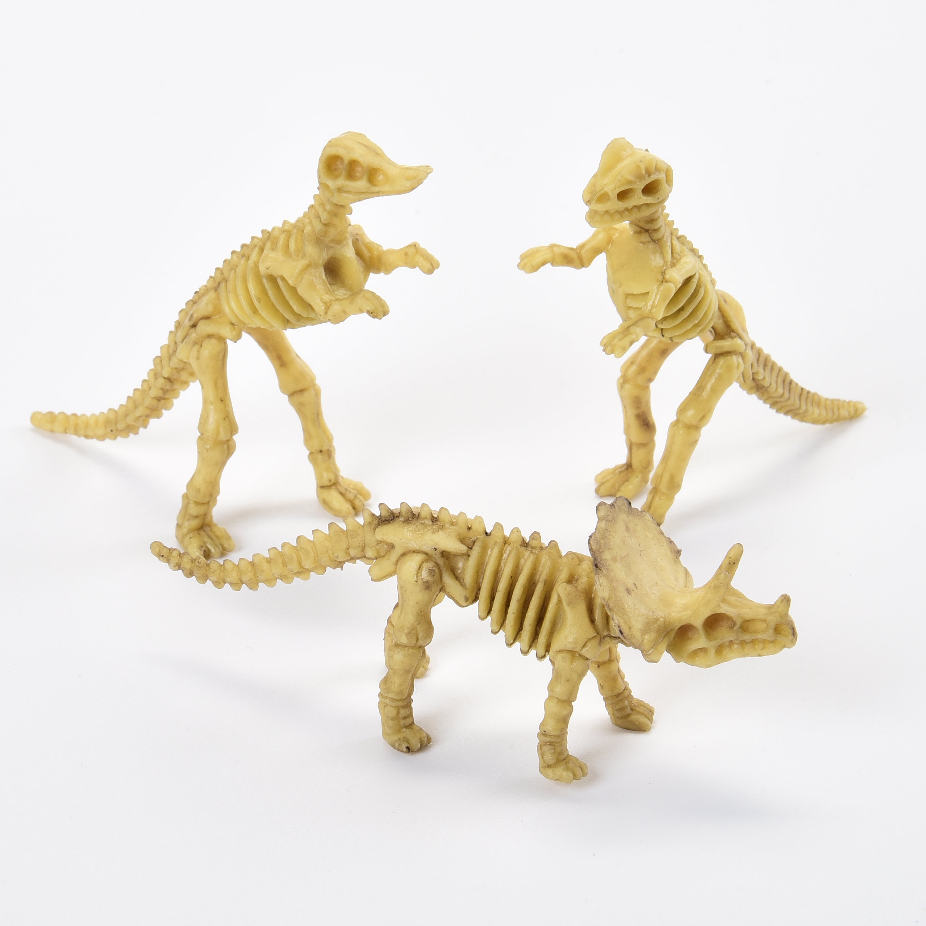 Skeleton Dinos - 12 Count