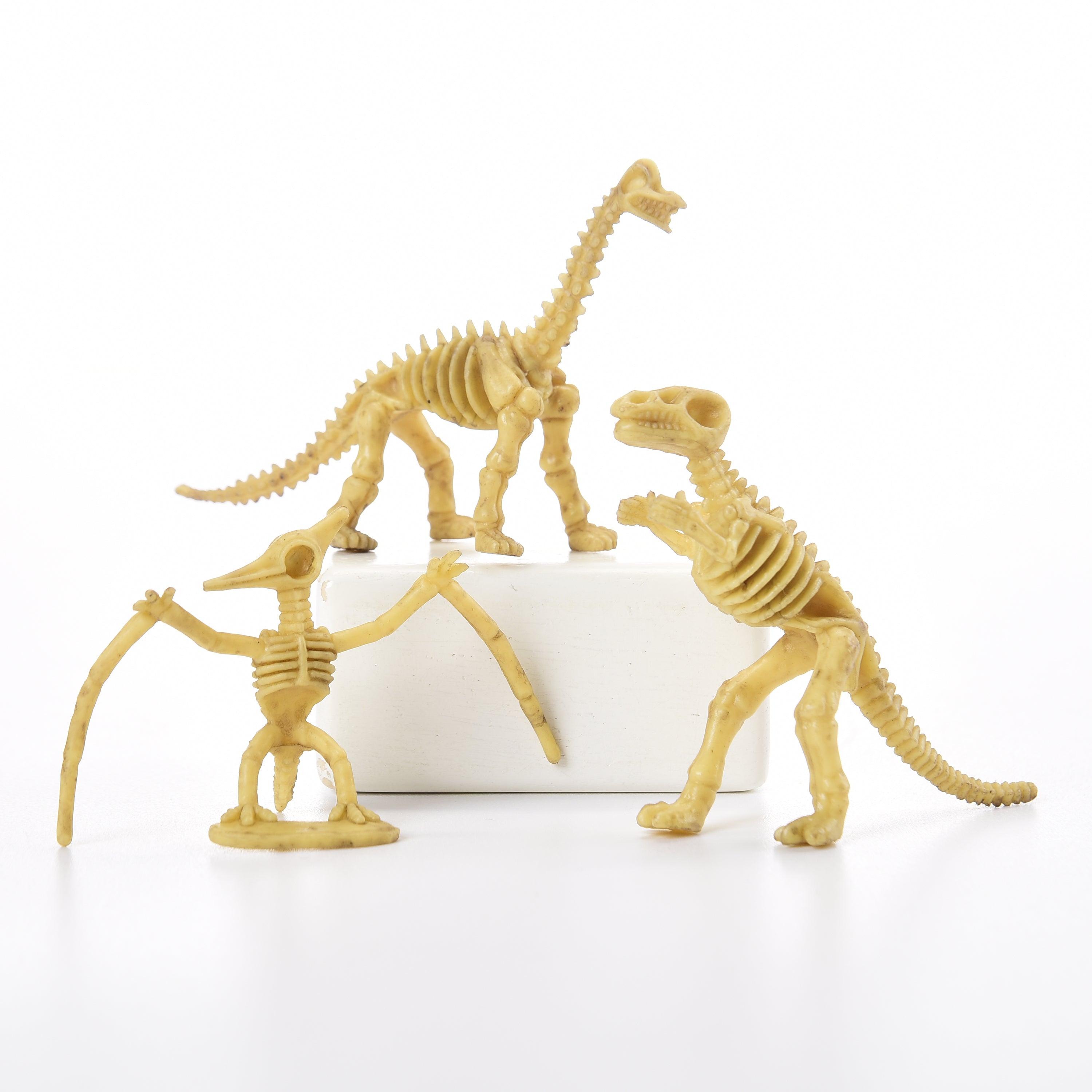 Skeleton Dinos - 12 Count