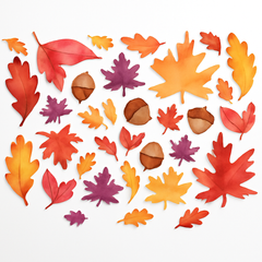 Fresh Autumn Leaves Mega Value Pack Cutouts