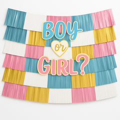 "Boy or Girl?" Deluxe Fringe Backdrop Kit for Gender Reveal