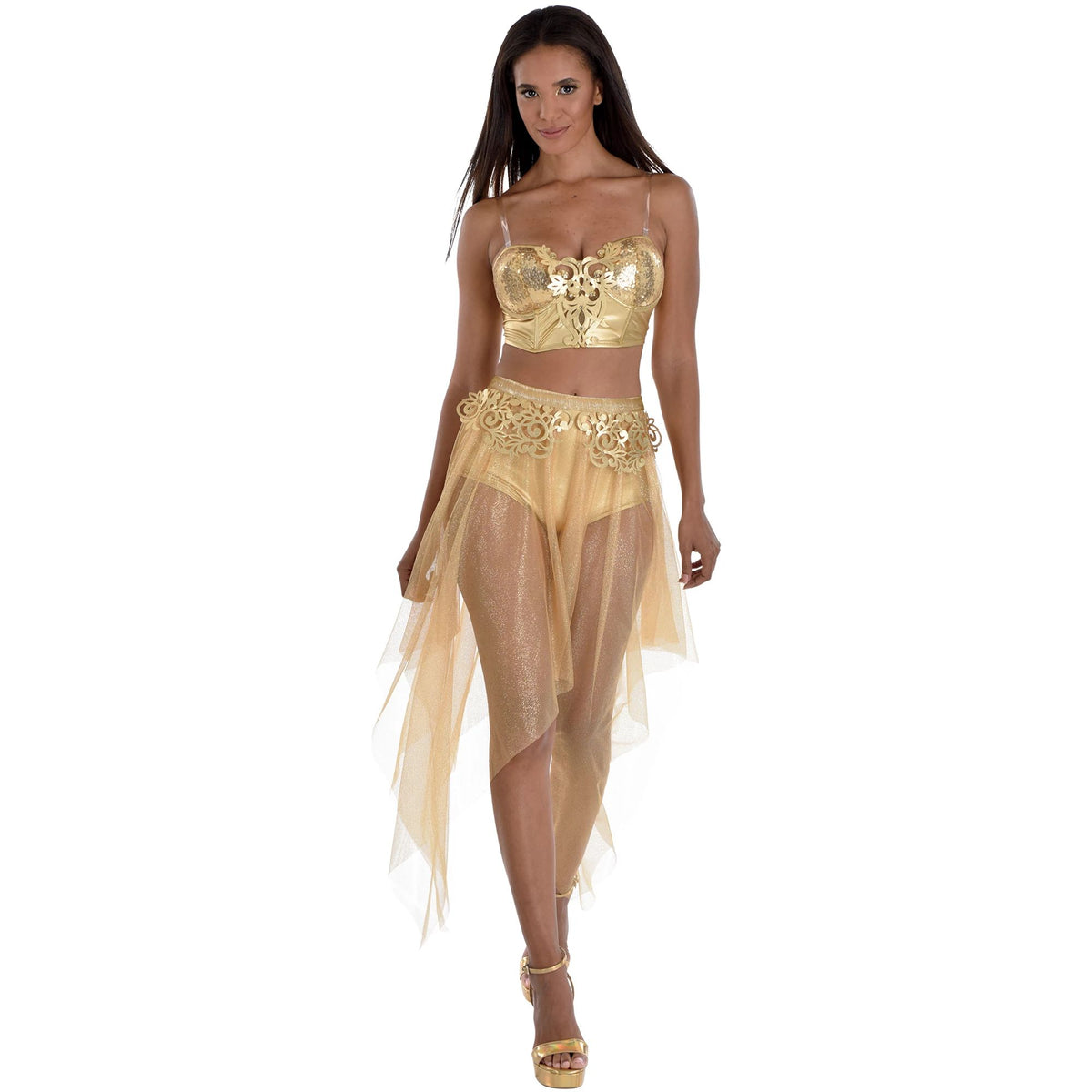 Gilded Glam Corset Costume for Women - L/XL