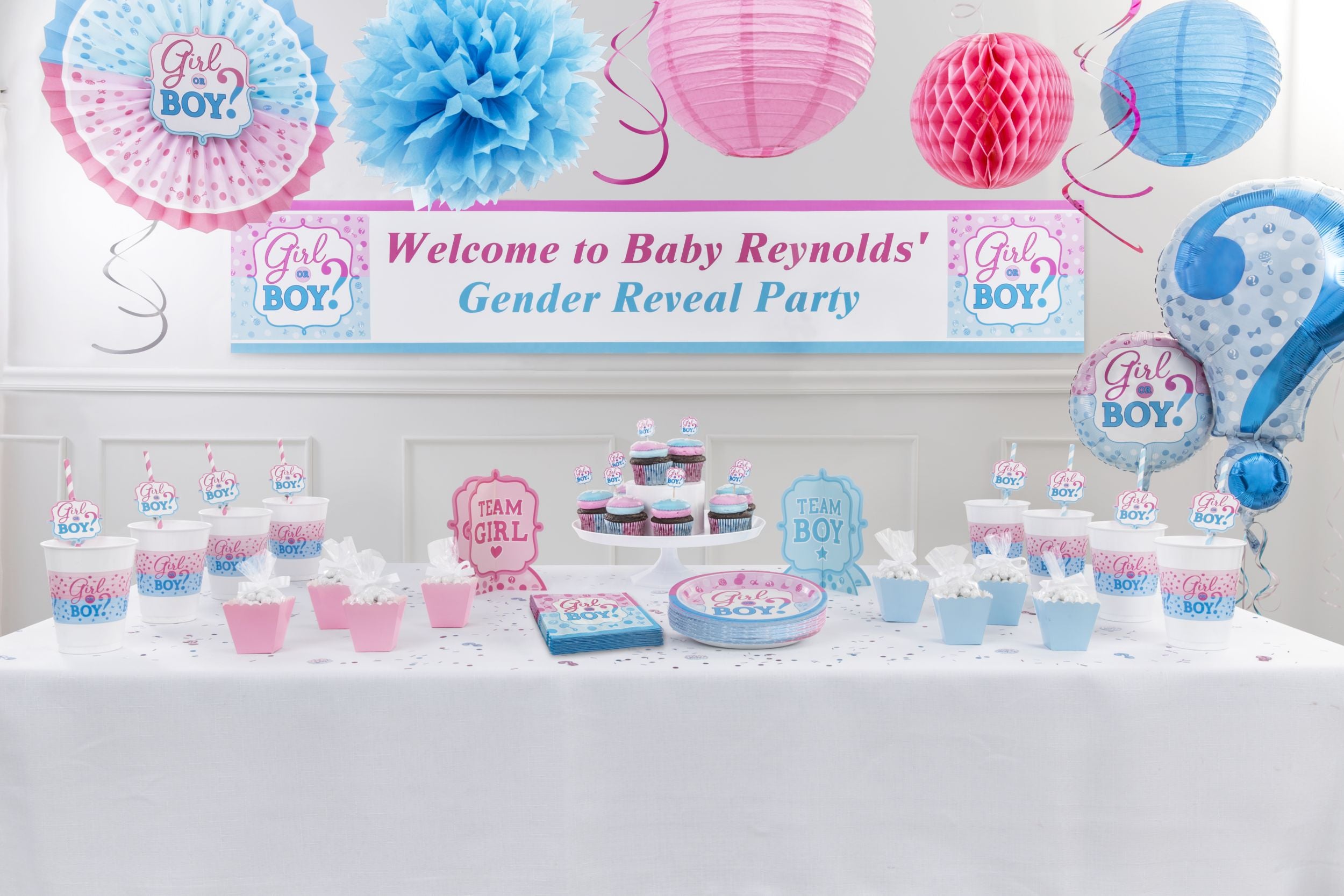 "Girl or Boy?" 10.5" Gender Reveal Paper Plates - 8 Pack