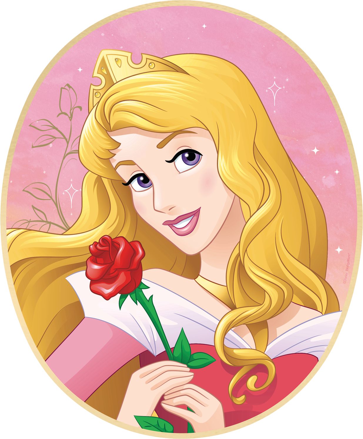 Disney Princess Once Upon a Time Frame Decorating Kit
