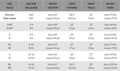 Disney Aladdin Princess Jasmine "Whole New World" Costume for Kids