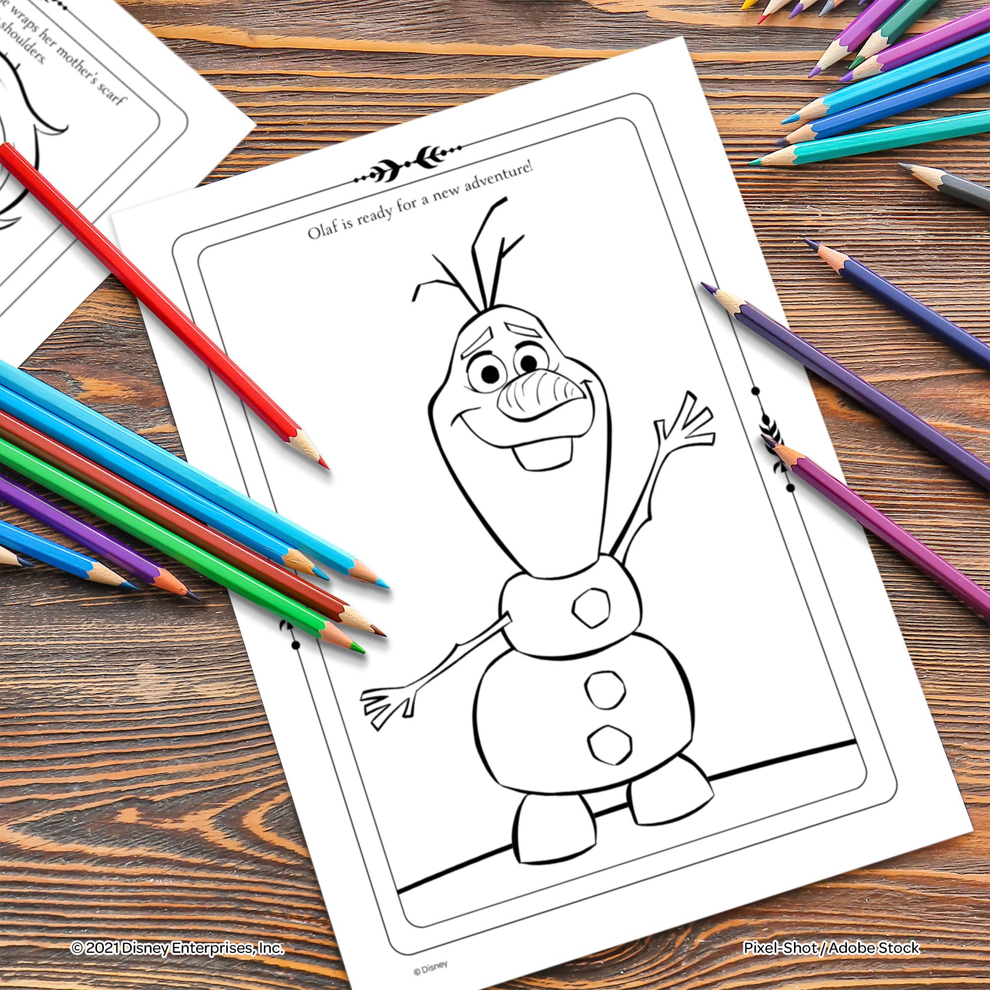 Frozen 2 Adventure Coloring & Activity Book with Tattoos