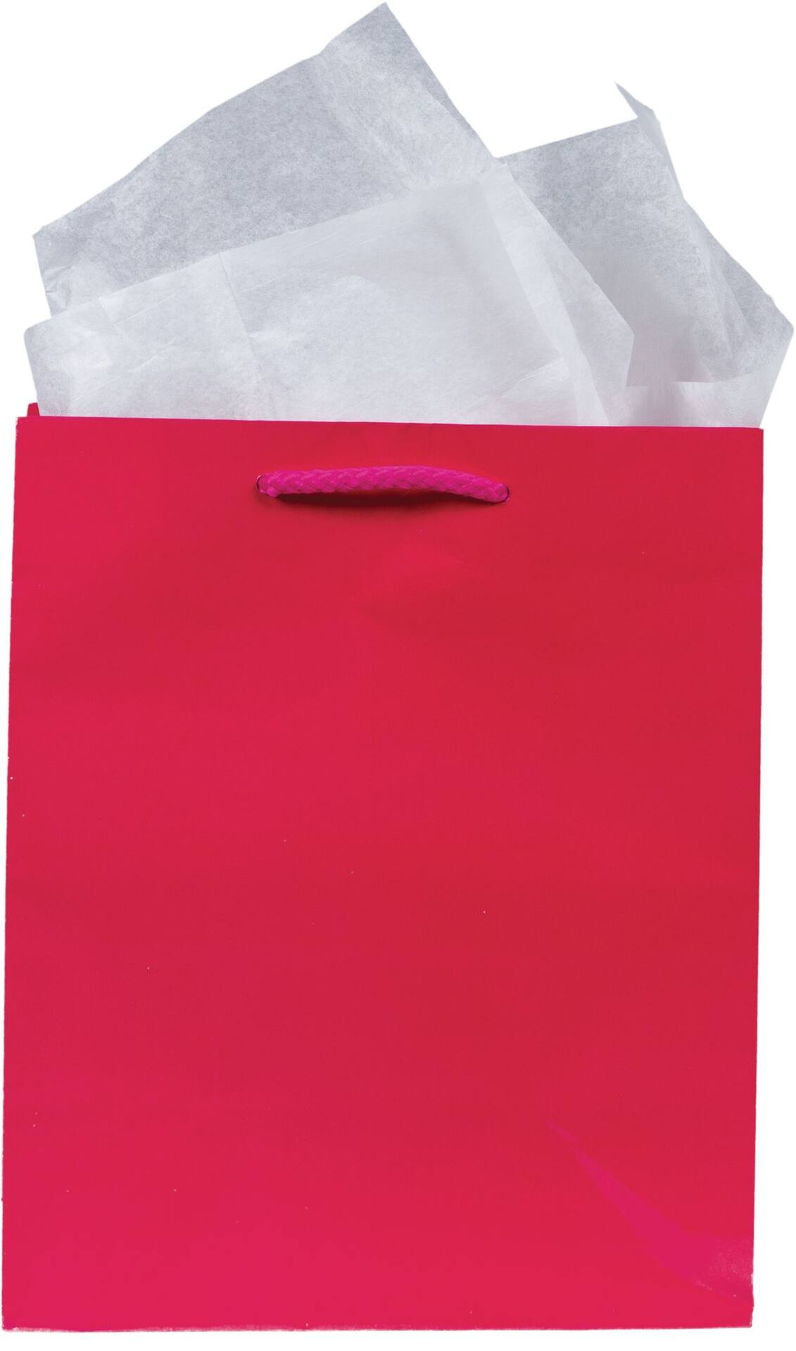 PMA - Paper Gift Bag, Assorted Colours, 9.5-in, for Birthday/Valentine's Day/Easter/Baby Shower