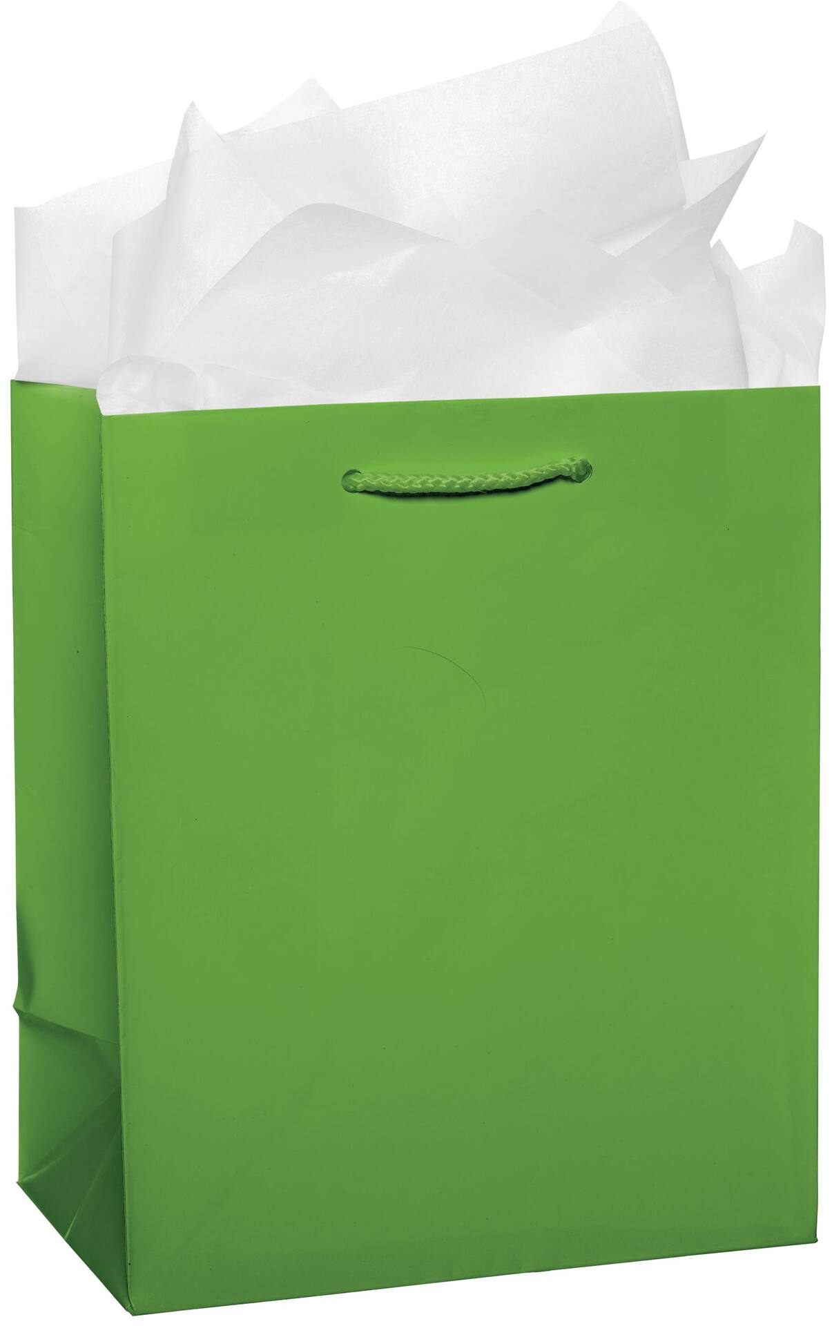PMA - Paper Gift Bag, Assorted Colours, 9.5-in, for Birthday/Valentine's Day/Easter/Baby Shower
