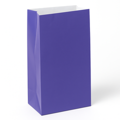 Mini Purple Glossy Paper Treat Bags - 12 Pack