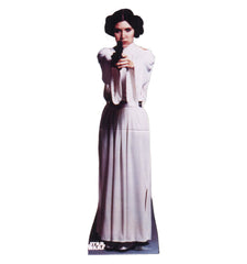 Princess Leia Organa (Star Wars)