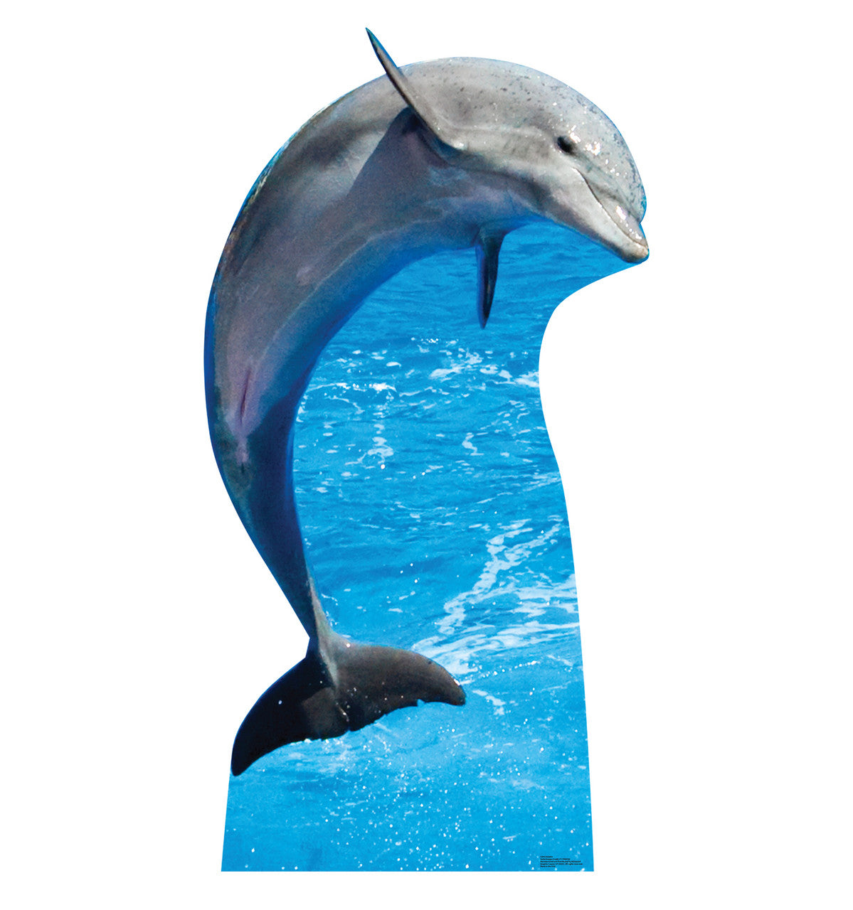 Dolphin