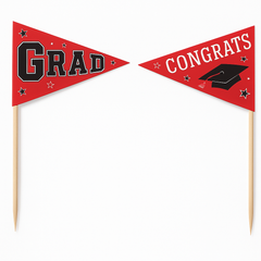 Graduation Celebration Red Party Picks