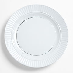 Premium Clear Plastic Dinner Plates, 10.25-Inch, 16-Pack
