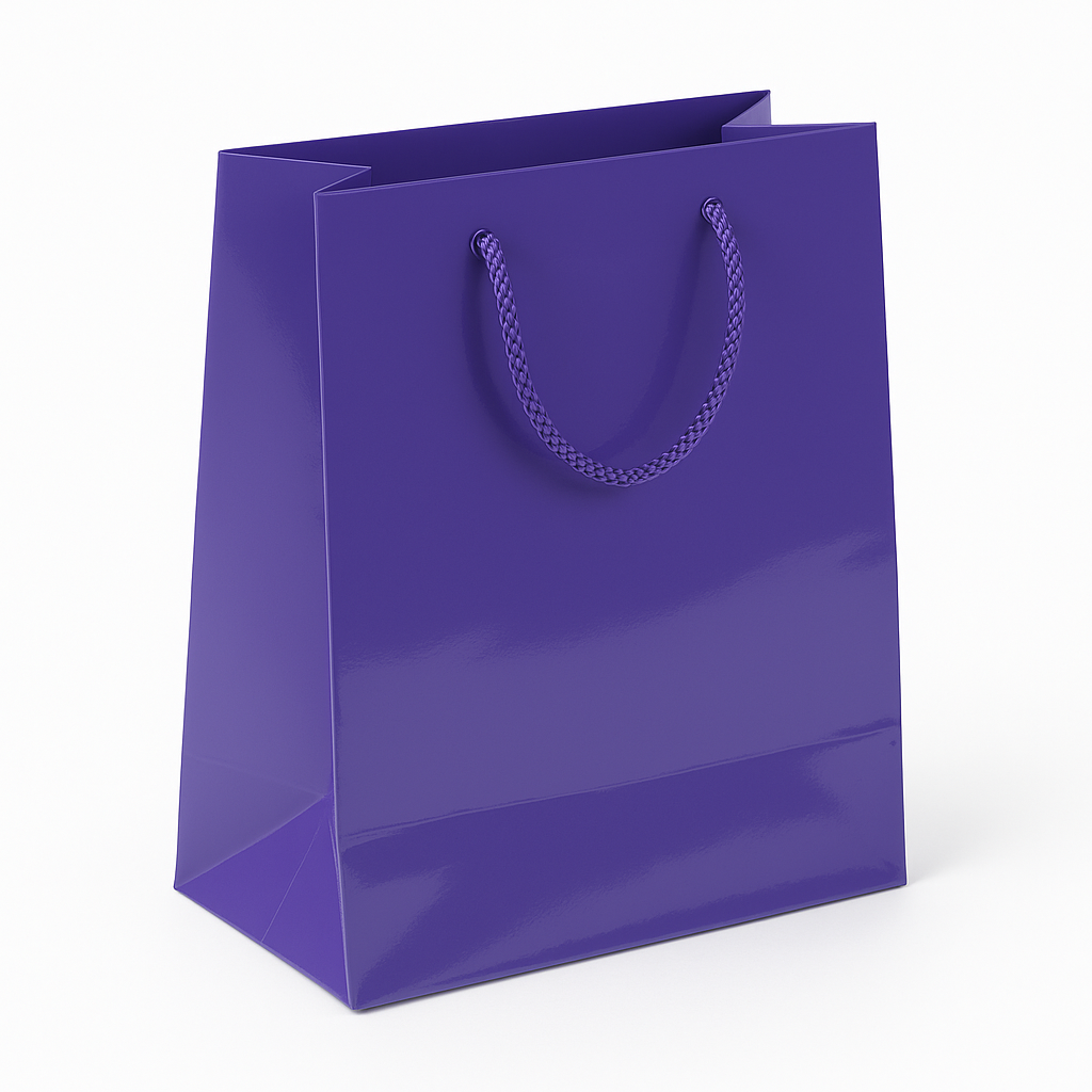 Glossy Purple Medium Gift Bag with Rope Handles