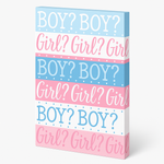 Pink or Blue? Gender Reveal Party Invitations