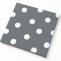 Sophisticated Silver Dot Border Beverage Napkins
