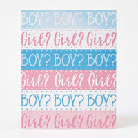 Pink or Blue? Gender Reveal Party Invitations