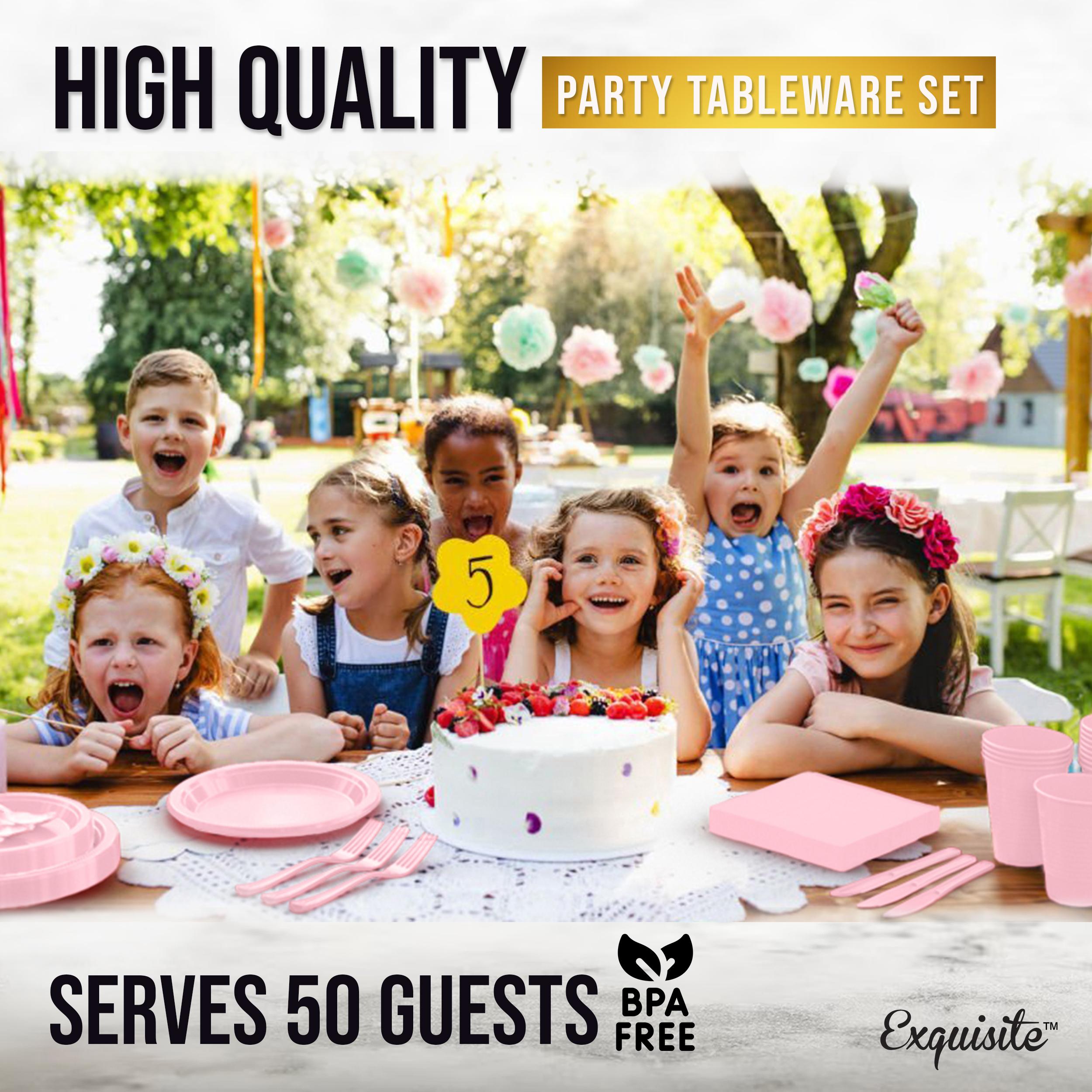 182 Pcs Pink Plastic Dinnerware Set | Setting for 26