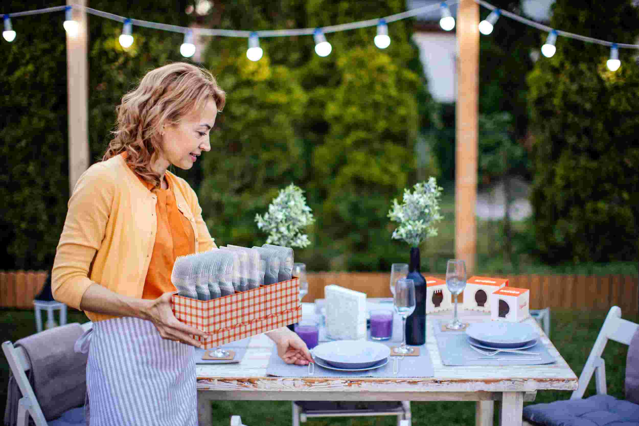 Clear Cutlery Caddy Combo - Gingham