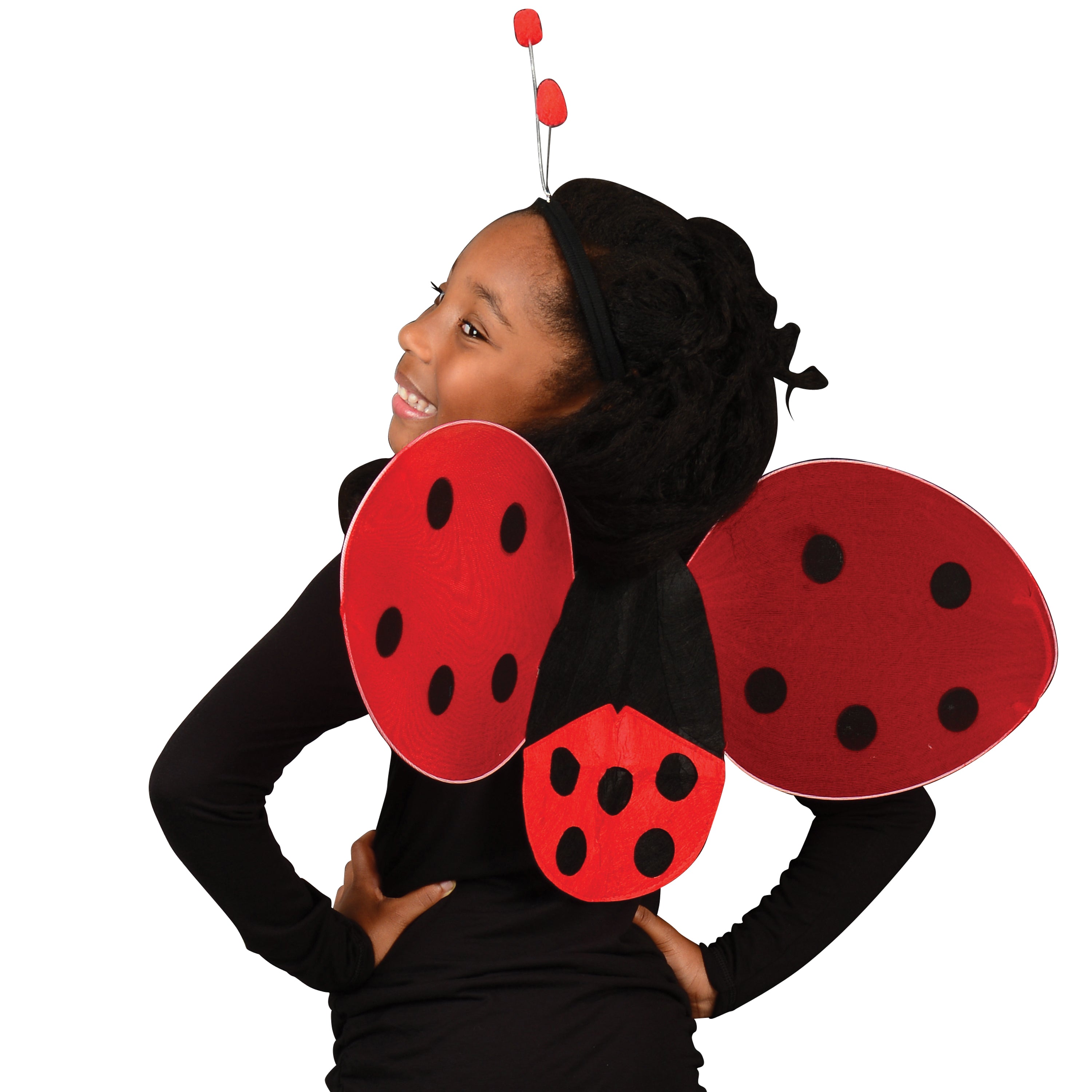Ladybug Wing Set/1 Set - 1 Count